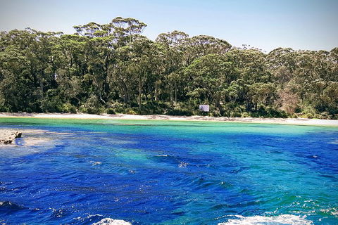 Jervis Bay Passage Tour - Gold Coast Attractions 6