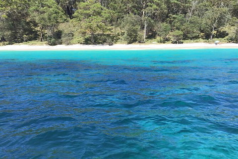 Jervis Bay Passage Tour - Gold Coast Attractions 5