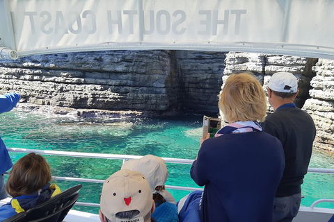 Jervis Bay Passage Tour - Gold Coast Attractions 7