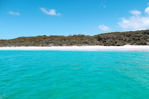 Jervis Bay Passage Tour - Gold Coast Attractions 10