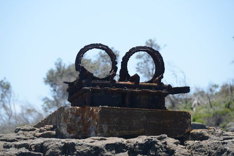 Jervis Bay Passage Tour - Gold Coast Attractions 4