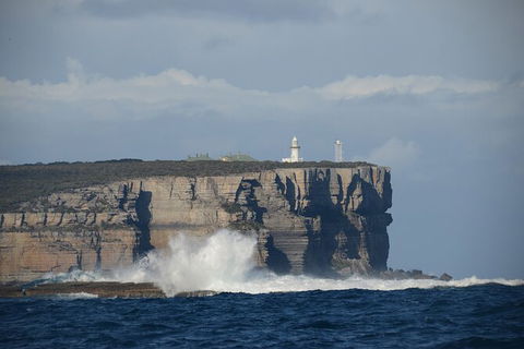 Jervis Bay Passage Tour - Gold Coast Attractions 8