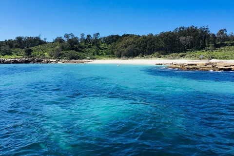 Jervis Bay Passage Tour - Gold Coast Attractions 2