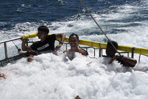 Jervis Bay Boom Netting And Dolphins Tour - Gold Coast Attractions 9