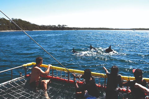 Jervis Bay Boom Netting And Dolphins Tour - Gold Coast Attractions 2