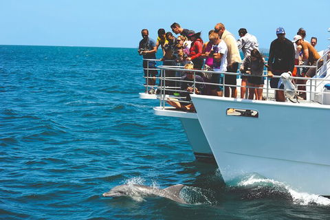 Jervis Bay Boom Netting And Dolphins Tour - Gold Coast Attractions 10