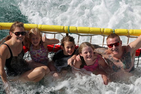 Jervis Bay Boom Netting And Dolphins Tour - Gold Coast Attractions 11