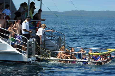 Jervis Bay Boom Netting And Dolphins Tour - Gold Coast Attractions 5