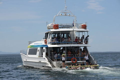 Jervis Bay Boom Netting And Dolphins Tour - Gold Coast Attractions 12