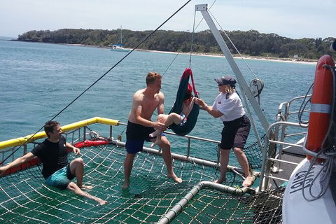 Jervis Bay Boom Netting And Dolphins Tour - Gold Coast Attractions 7