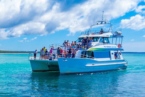 Jervis Bay Boom Netting And Dolphins Tour - Gold Coast Attractions 3