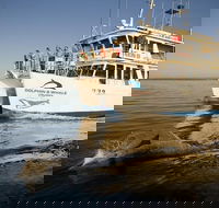 Jervis Bay Dolphin Watch Cruise - Gold Coast Attractions