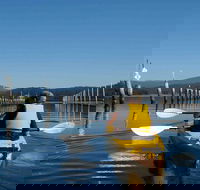 Batemans Bay Oyster Tasting Kayak Tour - Gold Coast Attractions