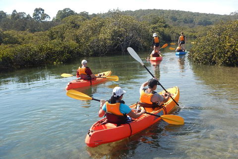 Batemans Bay Glass-Bottom Kayak Tour Over 2 Relaxing Hours - Gold Coast Attractions 4