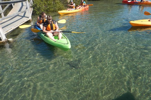 Batemans Bay Glass-Bottom Kayak Tour Over 2 Relaxing Hours - Gold Coast Attractions 5