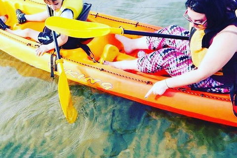 Batemans Bay Glass-Bottom Kayak Tour Over 2 Relaxing Hours - Gold Coast Attractions 6