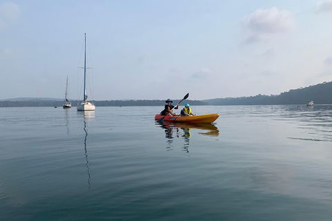 Batemans Bay Glass-Bottom Kayak Tour Over 2 Relaxing Hours - Gold Coast Attractions 7
