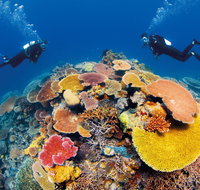 Agincourt Reef - Gold Coast Attractions