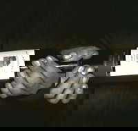 Allandale Winery - Gold Coast Attractions