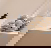 Altenburg and Co - Gold Coast Attractions