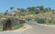 Anzac Hill Memorial - thumb 2