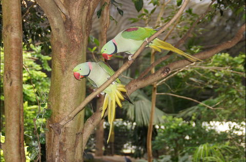 Apple Tree Creek - Gold Coast Attractions 2