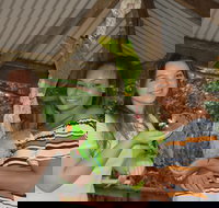 Birdworld Kuranda - Gold Coast Attractions