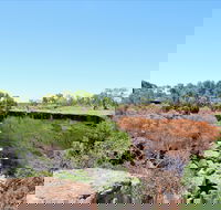 Bladensburg National Park - Gold Coast Attractions