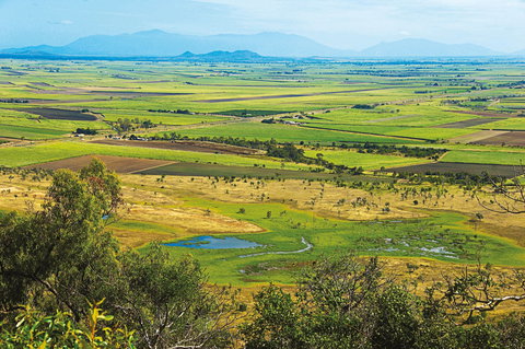 Burdekin - Gold Coast Attractions 1