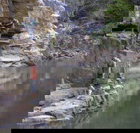 Butterfly Gorge Nature Park - Gold Coast Attractions