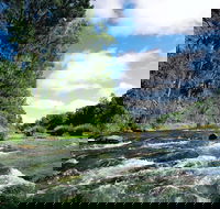 Casino - Gold Coast Attractions