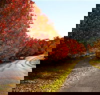 Charles Sturt University Winery - Gold Coast Attractions