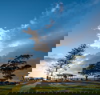 Cleveland Nandeebie/Indillie - Gold Coast Attractions