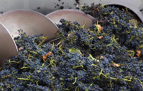 Coldstream - Gold Coast Attractions 0