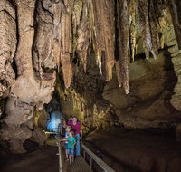 Cutta Cutta Caves Nature Park - Gold Coast Attractions
