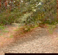 Daleys Point Walking Track - Gold Coast Attractions