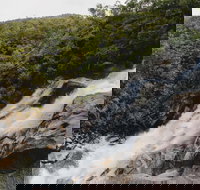 Davies Creek National Park and Dinden National Park - Gold Coast Attractions