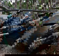 Delta Force Paintball Appin - Gold Coast Attractions