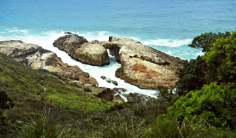 Diamond Head Loop Walk - Gold Coast Attractions 0