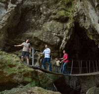 Dig the Tropic - Gold Coast Attractions