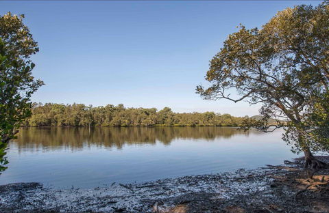 Double Wharf Picnic Area - Gold Coast Attractions 0
