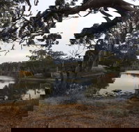 Duck Lagoon - Gold Coast Attractions