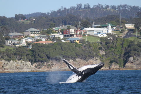 Eden - Gold Coast Attractions 2