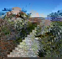 Evans Crown Nature Reserve - Gold Coast Attractions