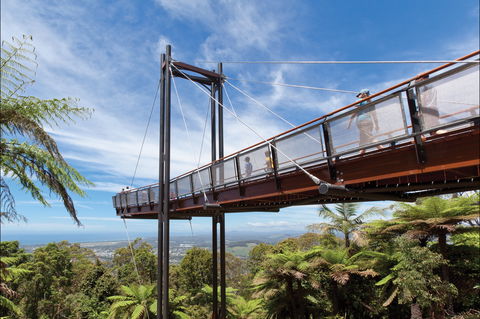 Forest Sky Pier, Sealy Lookout - Gold Coast Attractions 0