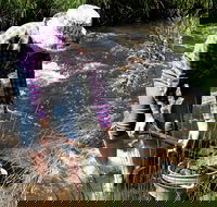 Fossicking - Gold Coast Attractions