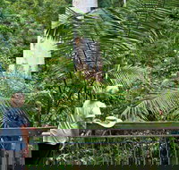 Grandis Picnic Area - Gold Coast Attractions