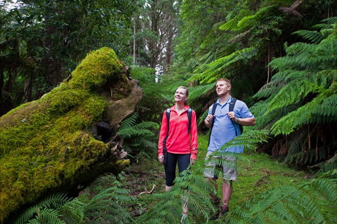 Grand Strzelecki Track - Gold Coast Attractions 0