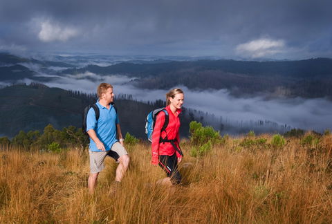 Grand Strzelecki Track - Gold Coast Attractions 1