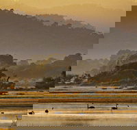 Greens Beach - Gold Coast Attractions